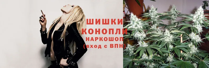 Шишки марихуана Ganja  Рассказово 